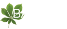 Bastion Logo